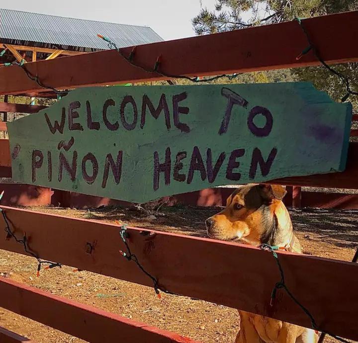 Pet Friendly Pinon Heaven Bed & Breakfast Canada de los Alamos Exterior photo