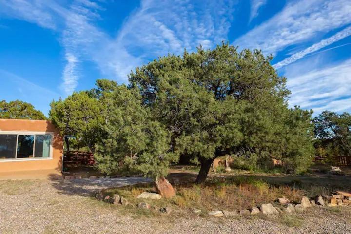 Pet Friendly Pinon Heaven Bed & Breakfast Canada de los Alamos Exterior photo