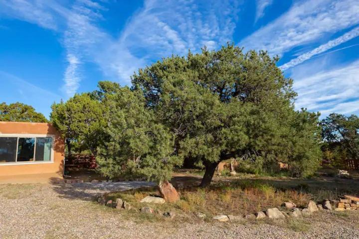 Pet Friendly Pinon Heaven Bed & Breakfast Santa Fe Exterior photo