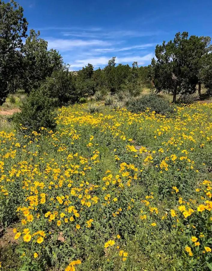 Pet Friendly Pinon Heaven Bed & Breakfast Canada de los Alamos Exterior photo